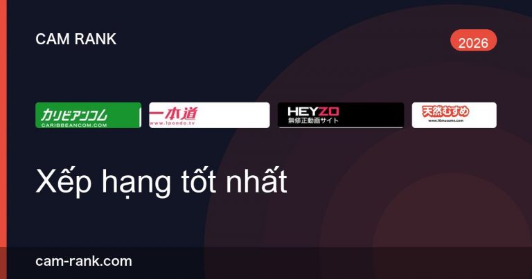 Bài Viết