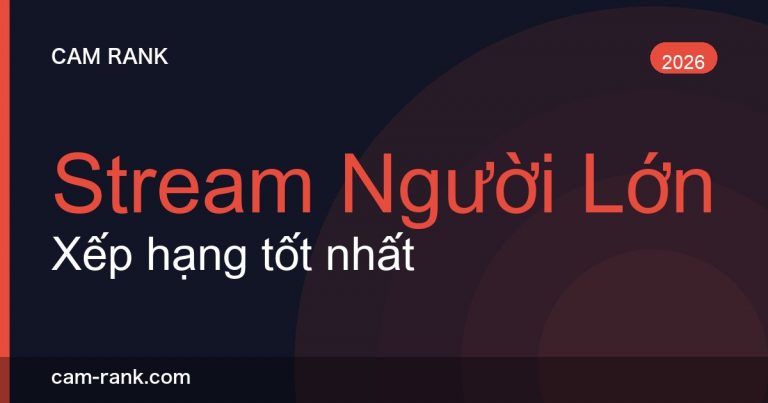 Bài Viết