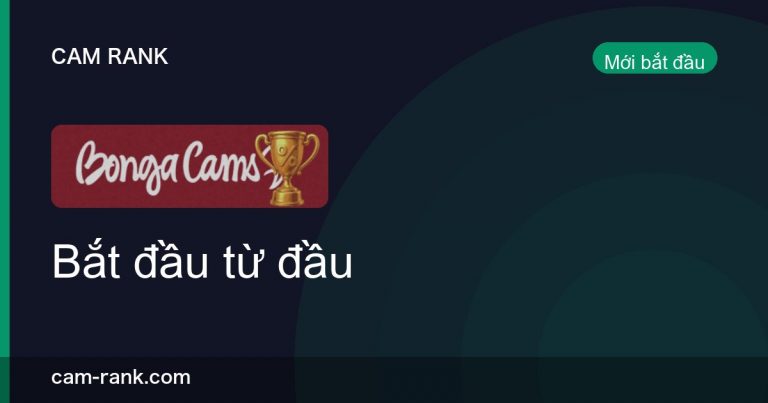 Bài Viết