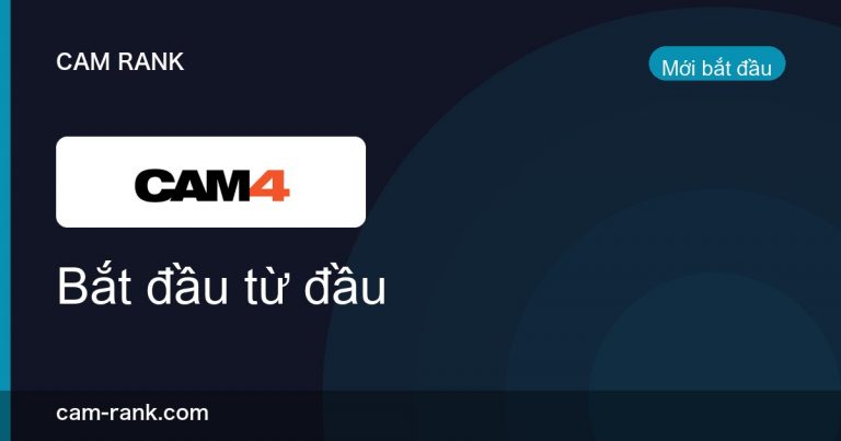 Bài Viết