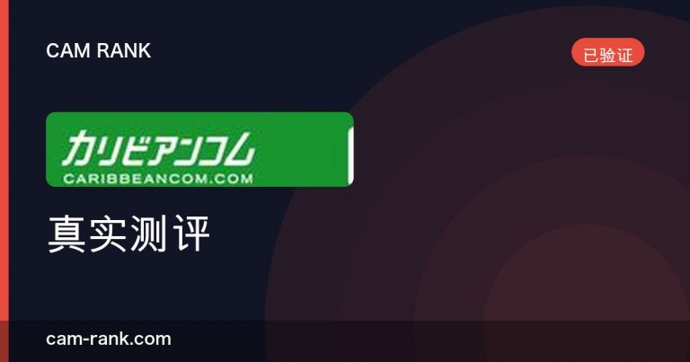 全部文章