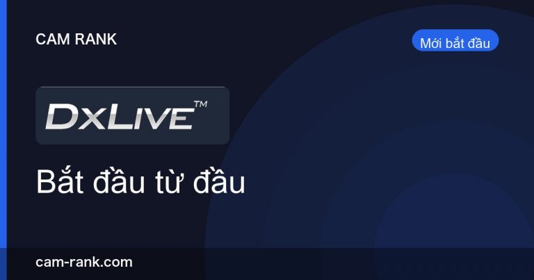 Bài Viết