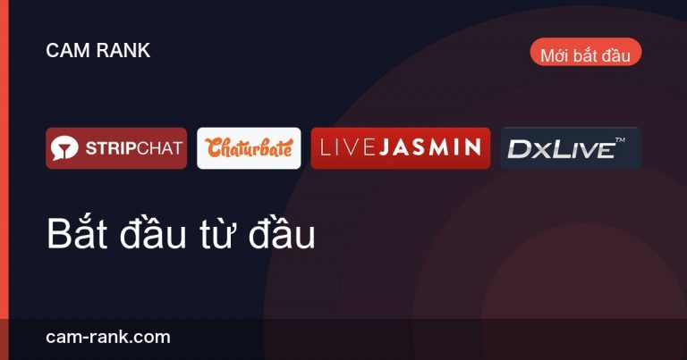 Bài Viết