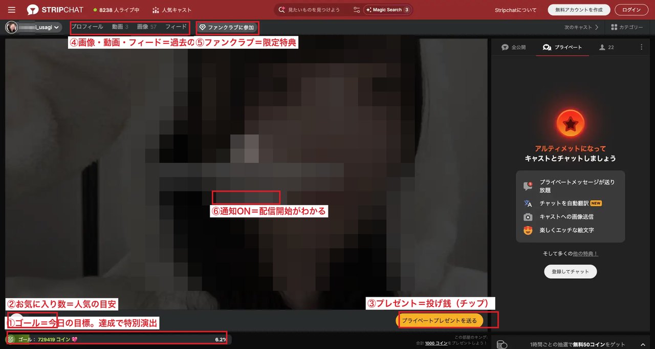 Stripchat配信者プロフィールページの見方。ゴール・お気に入り数・プレゼント（投げ銭）・ファンクラブ・通知の位置を解説。配信者の顔はモザイク加工