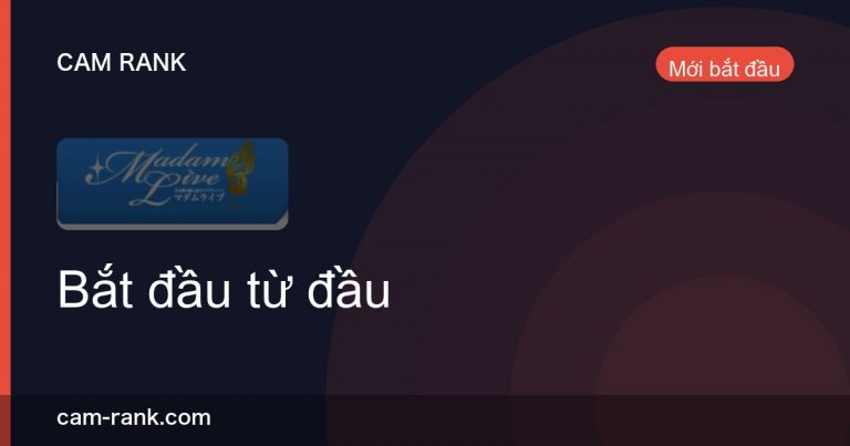 Bài Viết
