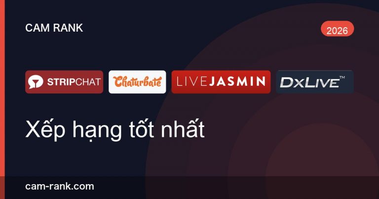 Bài Viết