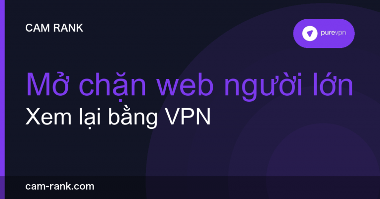 Bài Viết