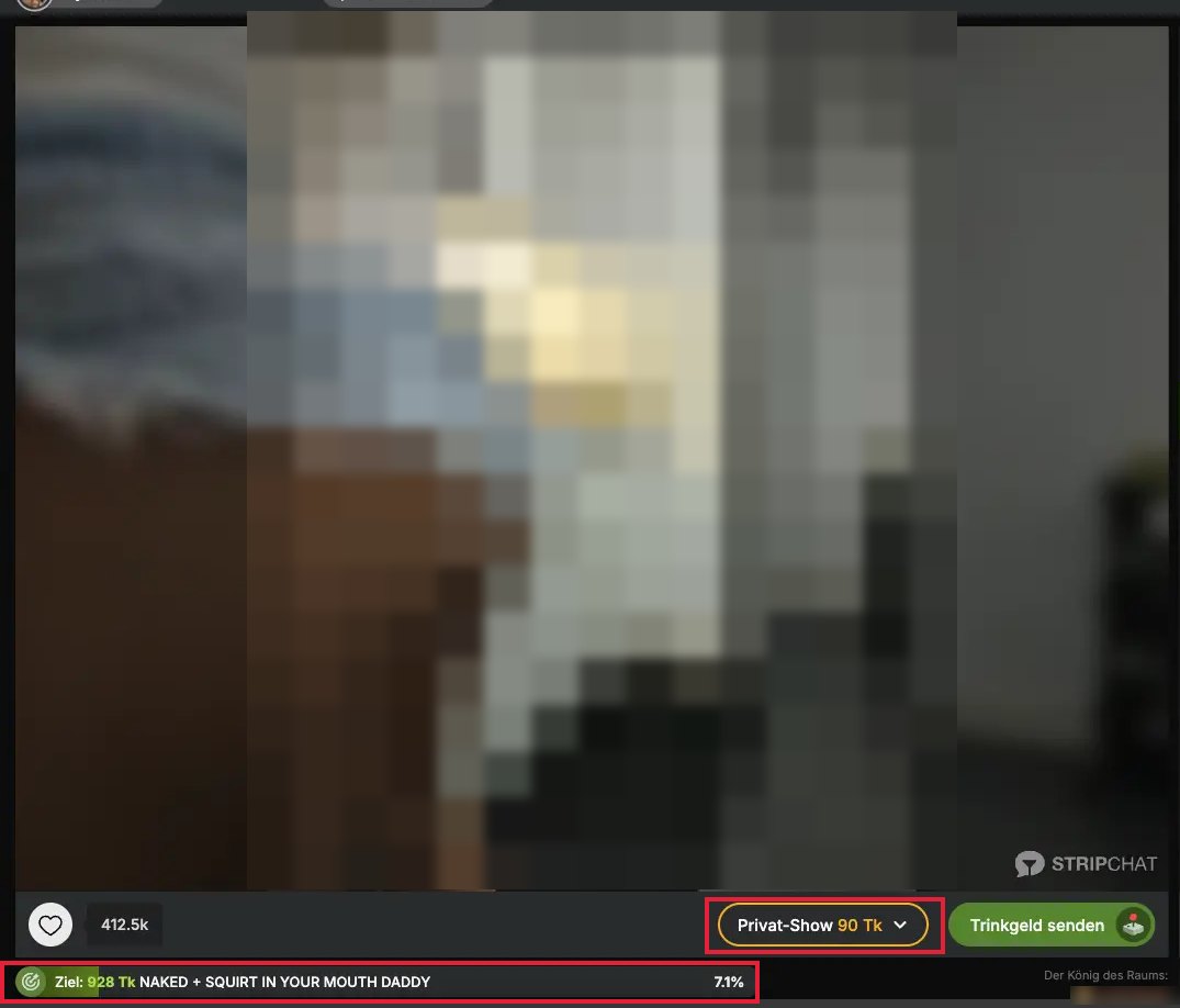 Stripchat-Raum: Preis der Privatshow
