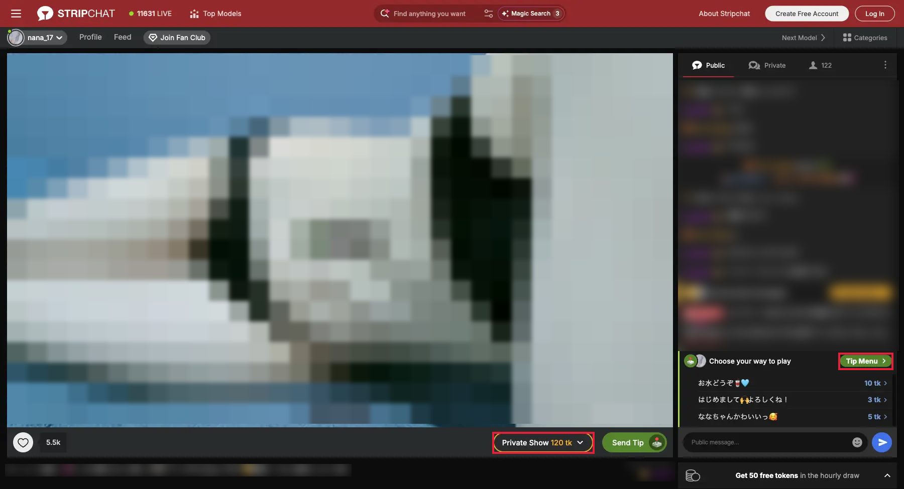 Real Stripchat public room watched logged out — Private Show 120 tk button and Tip Menu (3/5/10 tk) red-framed, showing the paid layer is clearly separated from the free stream