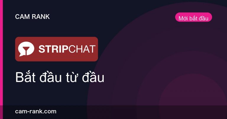 Bài Viết