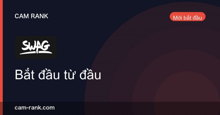 Bài Viết