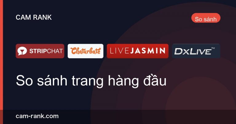 Bài Viết