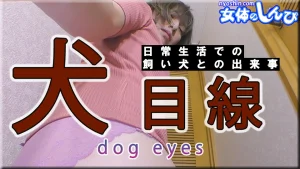 犬目線
